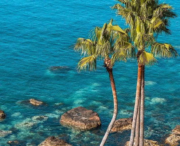 Cohen Smart House 公寓 陶尔米纳